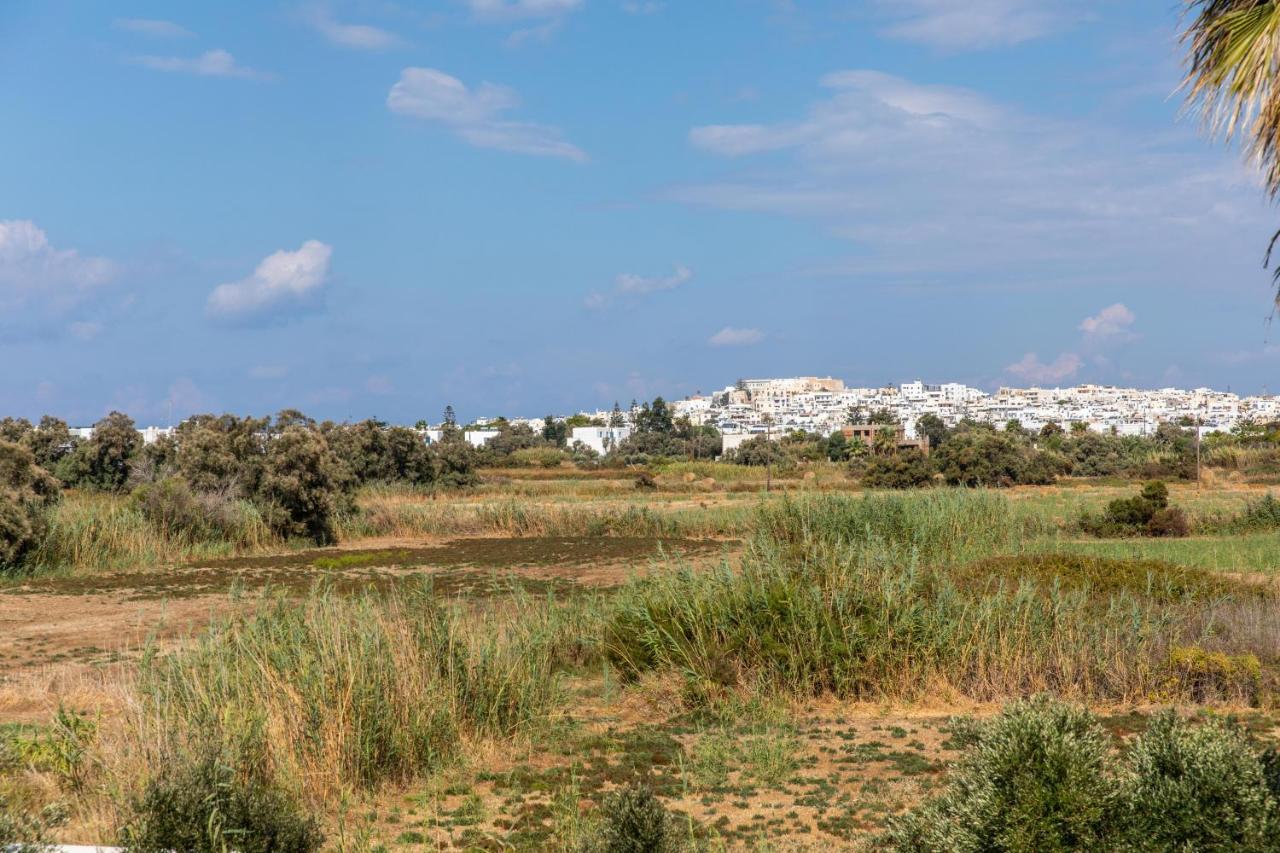 Surfer Paradise Naxos City Extérieur photo